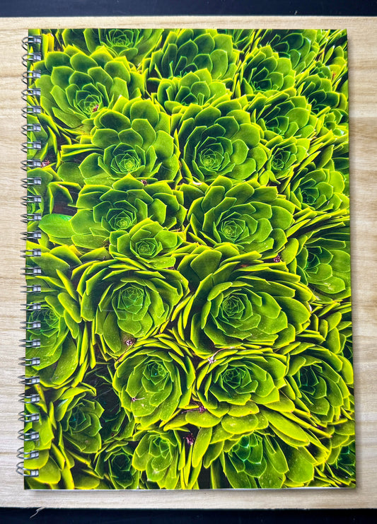 A5 - Last Gasp Of Spring - Succulent