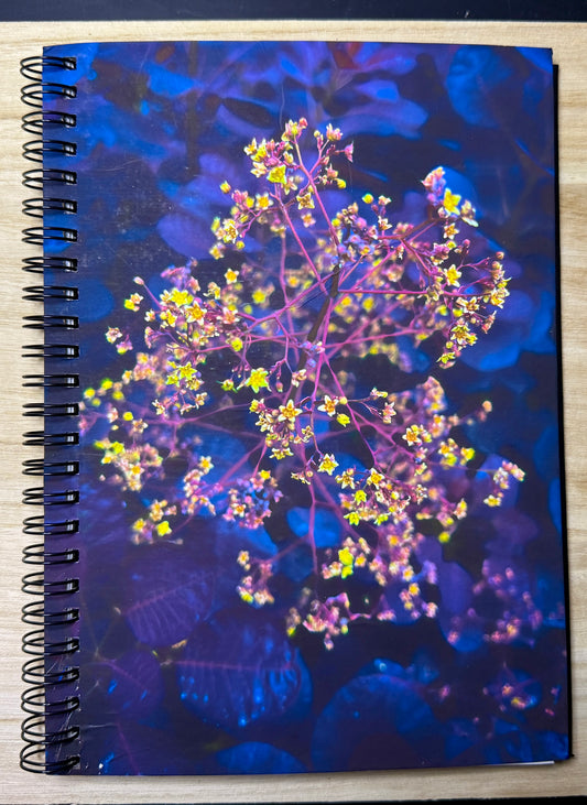 A5 - Last Gasp Of Spring - Yellow